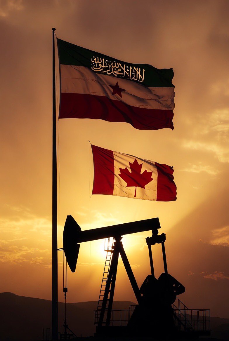 Saulite 🇨🇦 tweet media