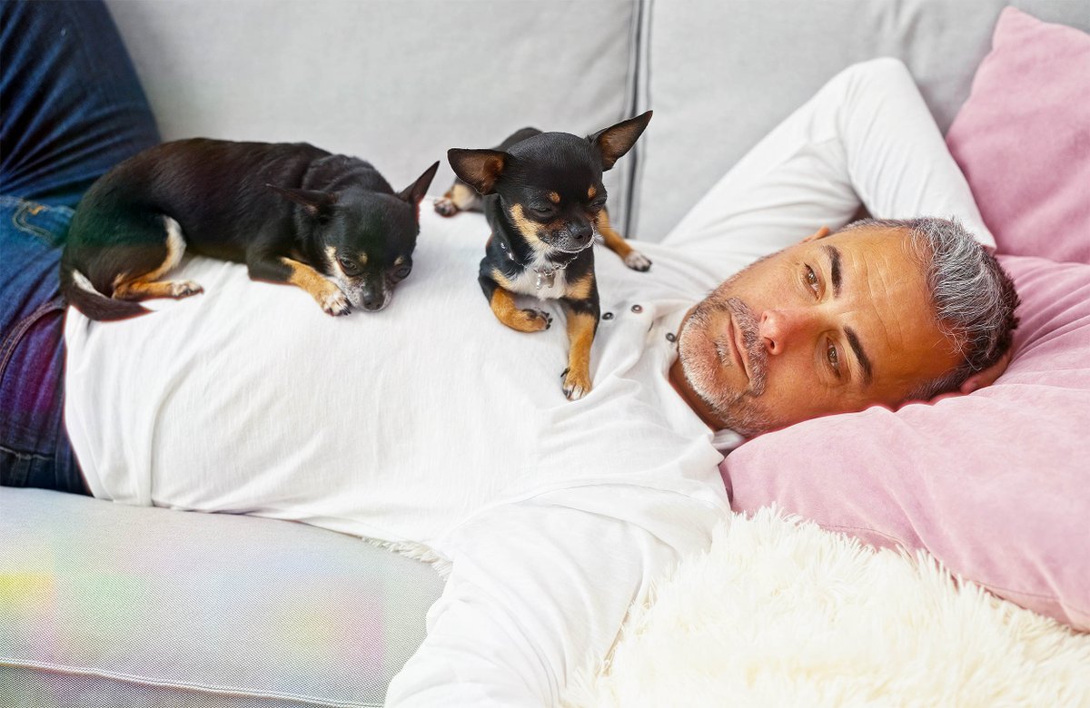 Earth.com tweet media