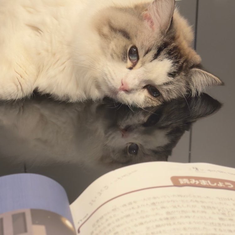 ¹³ 𝗝𝗡𝗝𝗠 tweet media