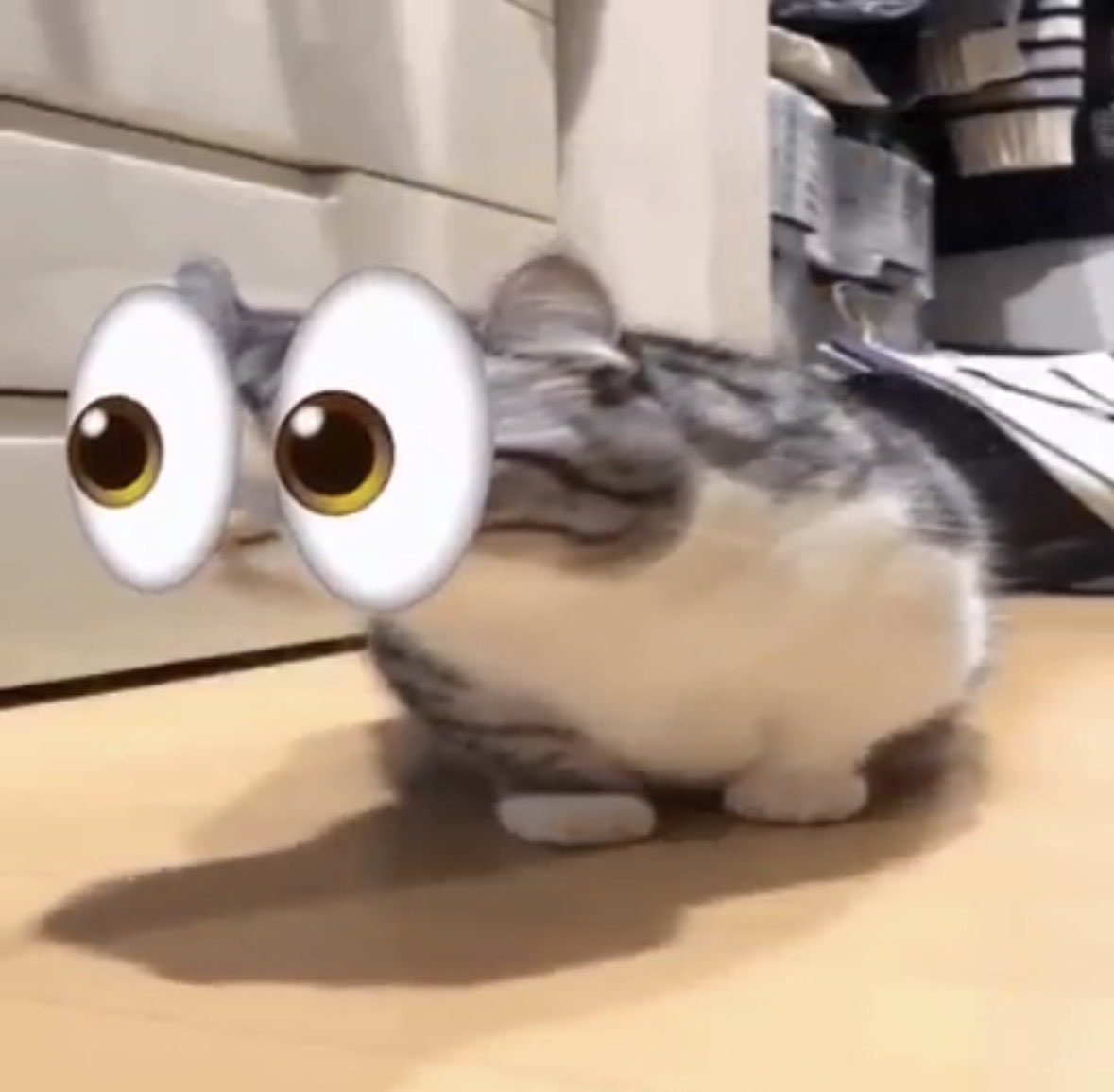 𝐁𝐰𝐢𝐳𝐖𝐢𝐳𝐚𝐫𝐝✧ tweet media