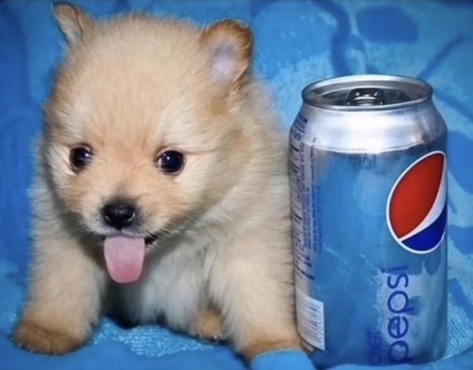 It's Chloe Molotov day :D