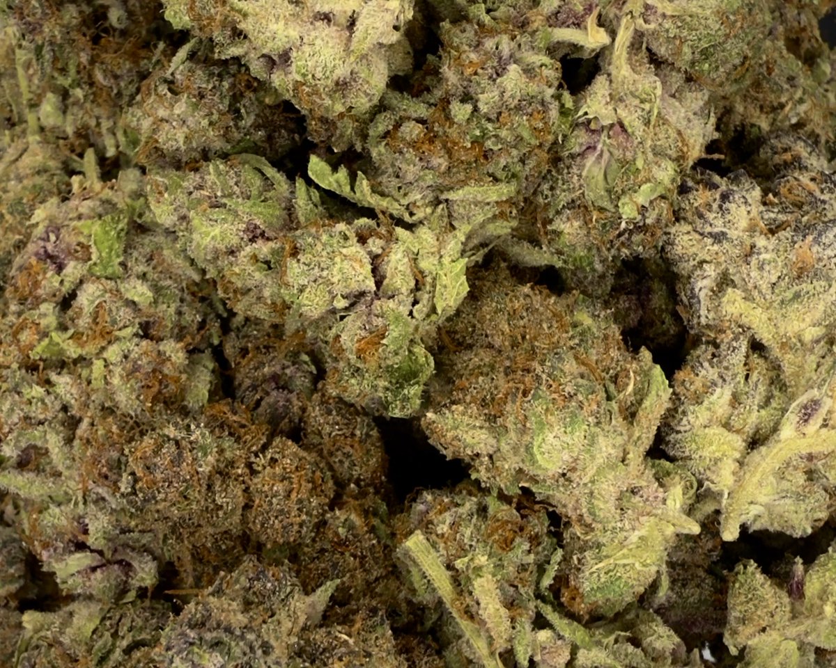 Bay Smokes 🍃 tweet media