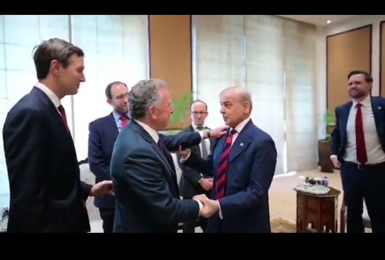 ZuttHero tweet media