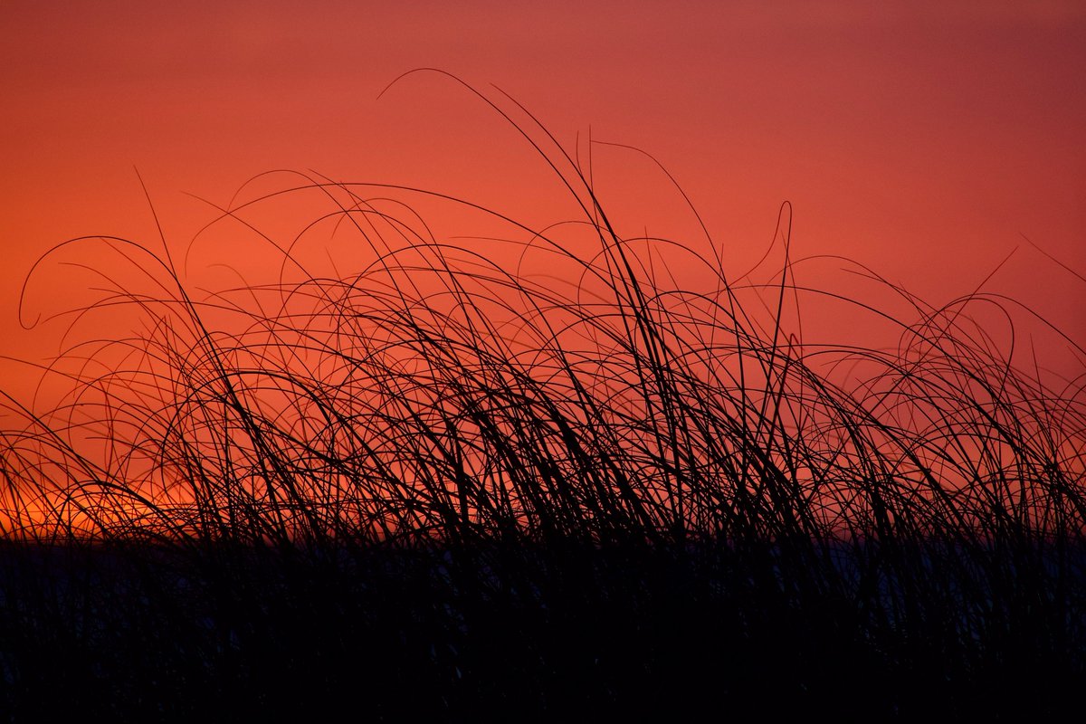 DeepGreens2's tweet image. #sunset #photography #BeachLife #Nature #Seascape
