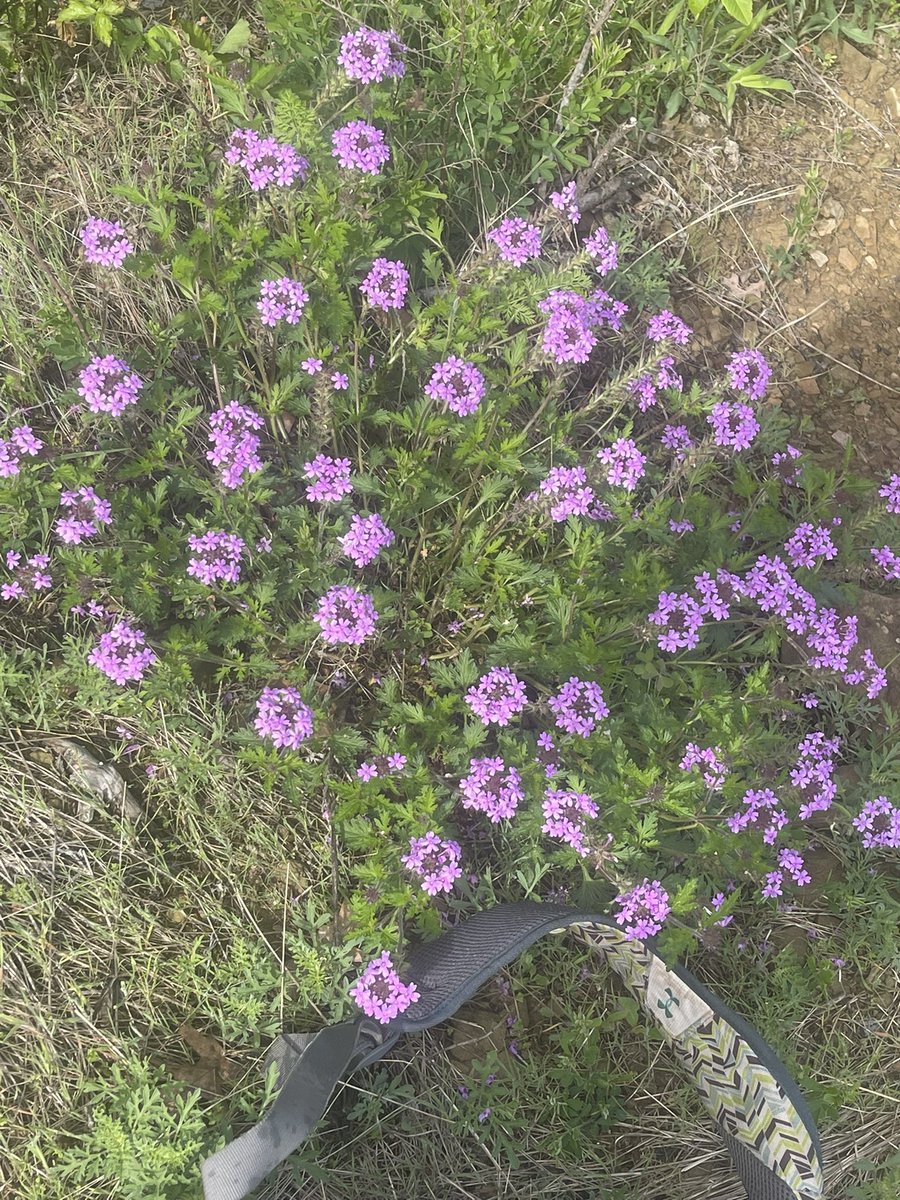 Chris Walsh tweet media