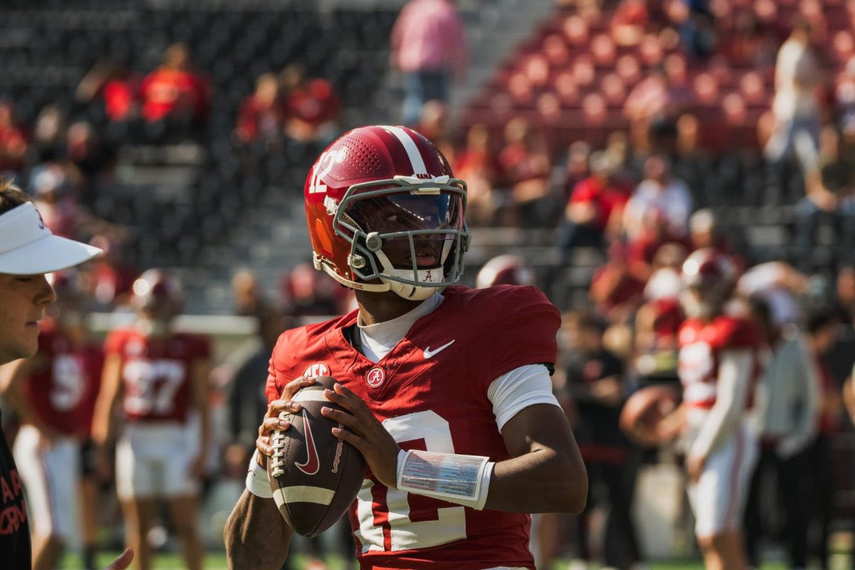 LandonTengwall tweet media