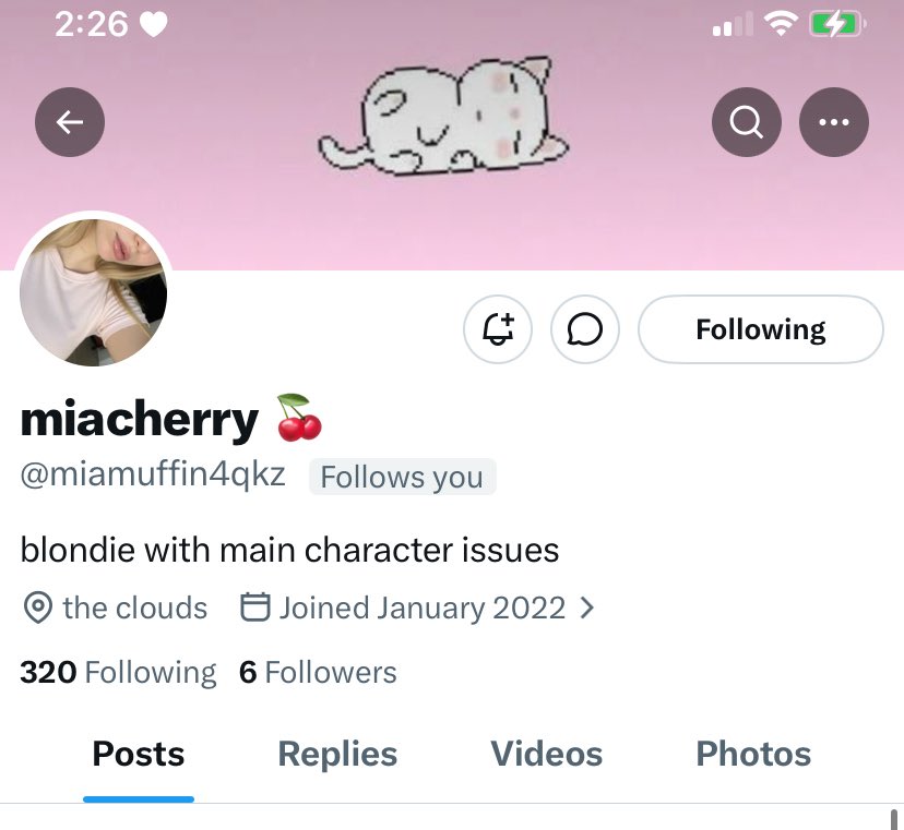 mellow ૮ ྀིᴗ͈ . ᴗ͈ ྀིაᶻ 𝗓 𐰁 tweet media