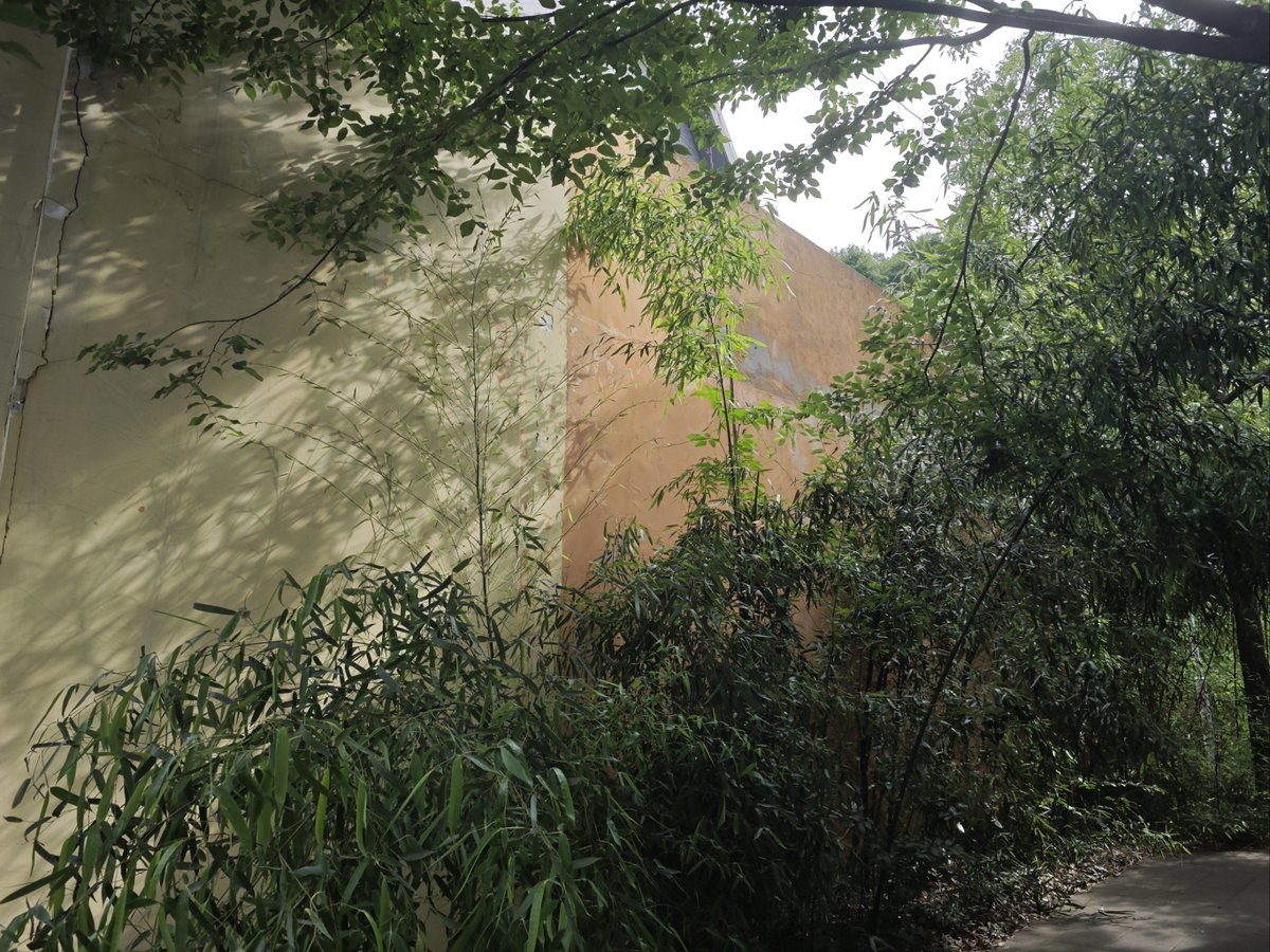 mohamed samir tweet media