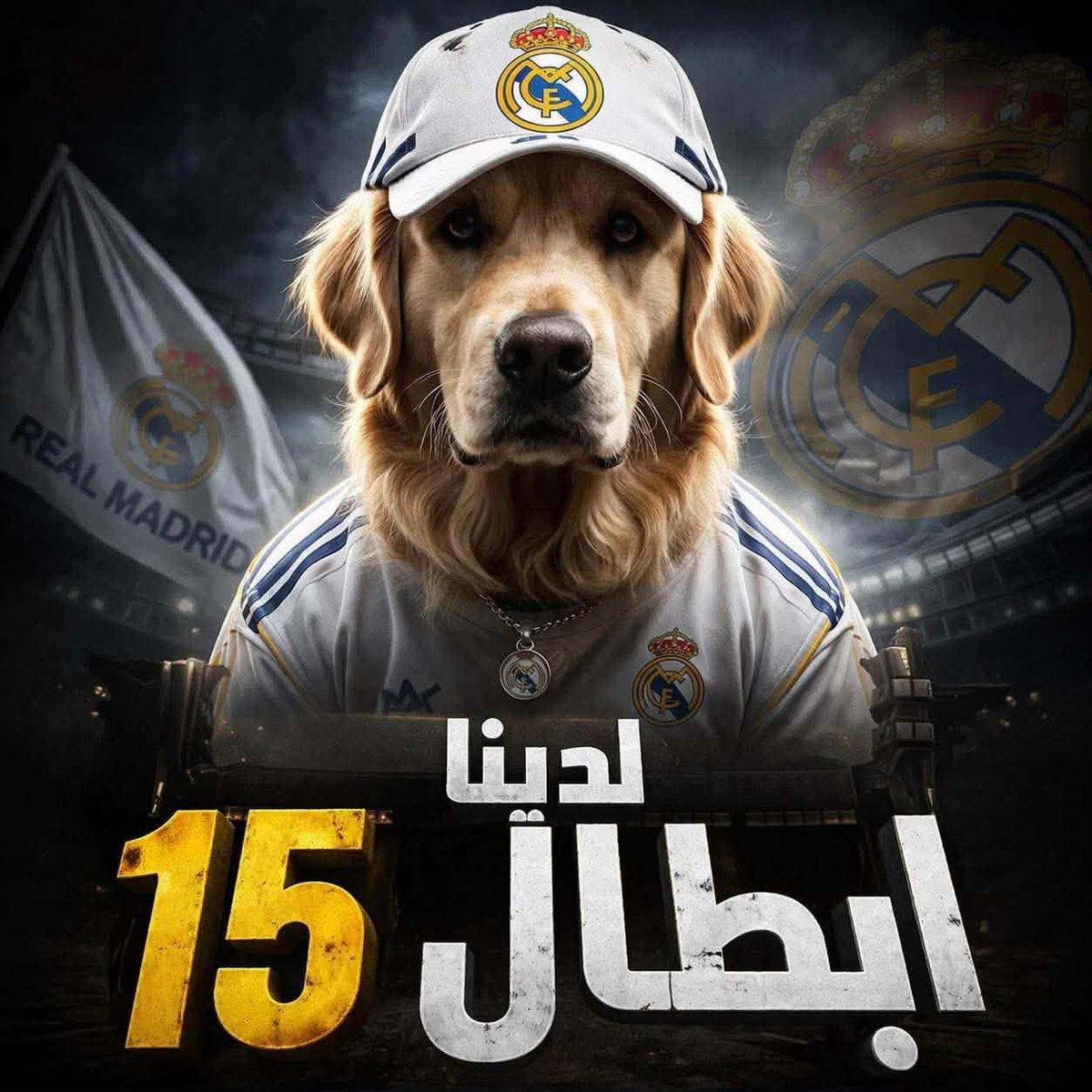 فقاعة بيريز الاعلامية tweet media