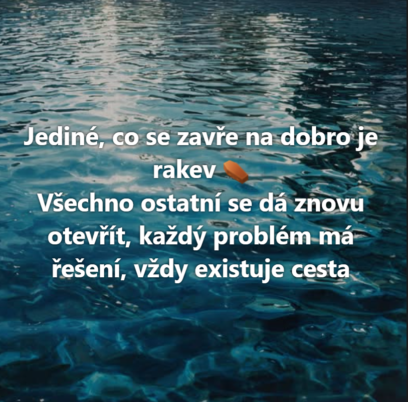 Sýkorka Borka tweet media