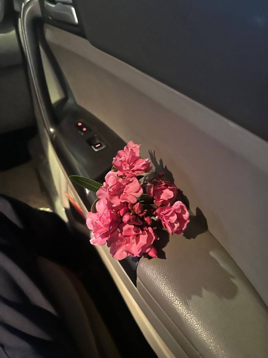 بشائر بنت عبدالله الحربي 🇸🇦 tweet media