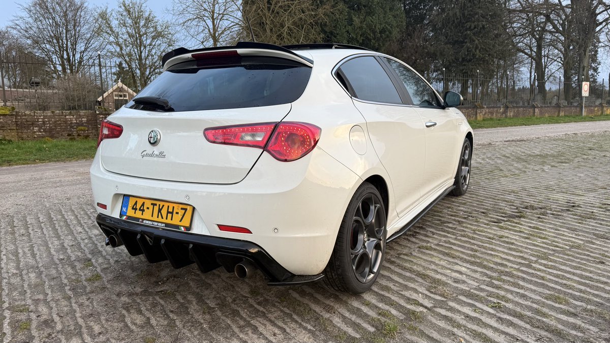 Everyone needs an Alfa on their timeline. You're welcome 🫶🏻🇮🇹