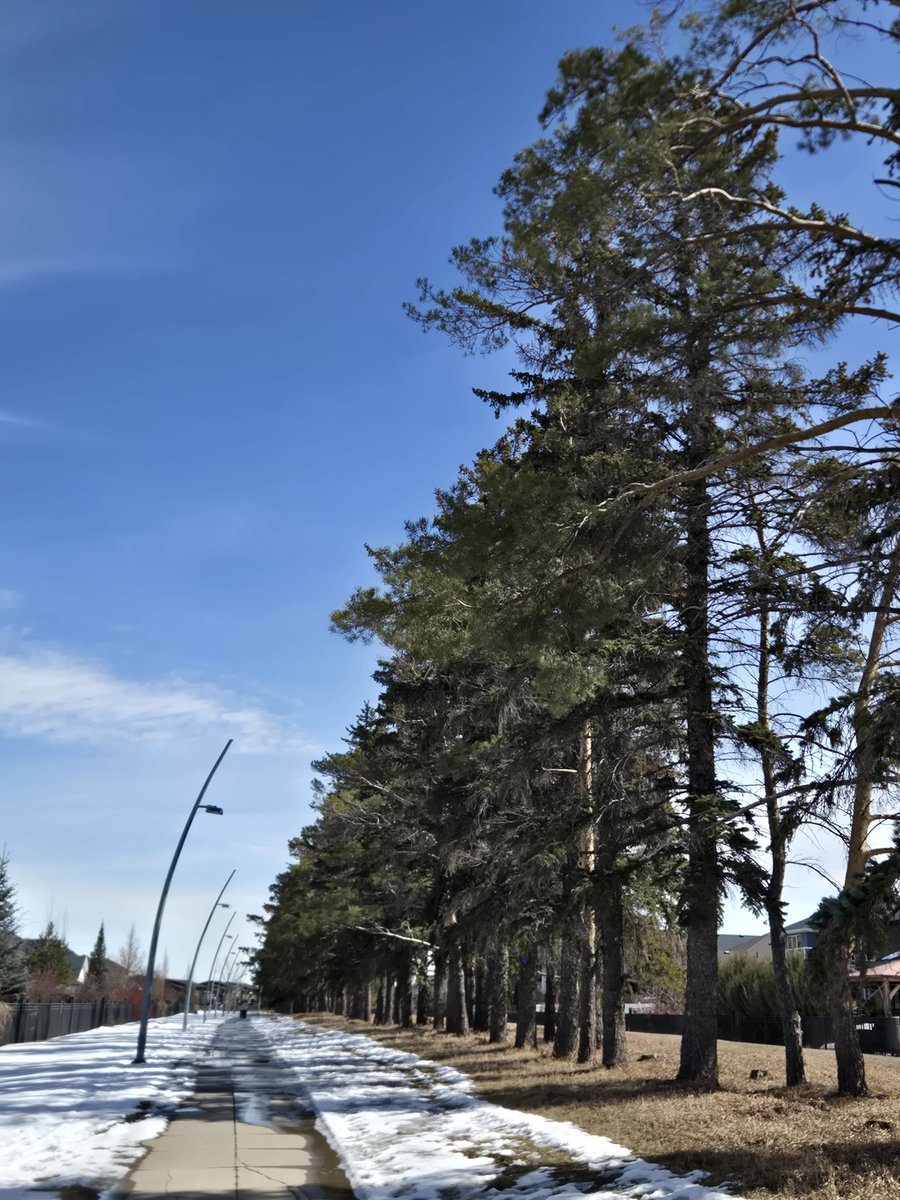 Mohamed .... tweet media