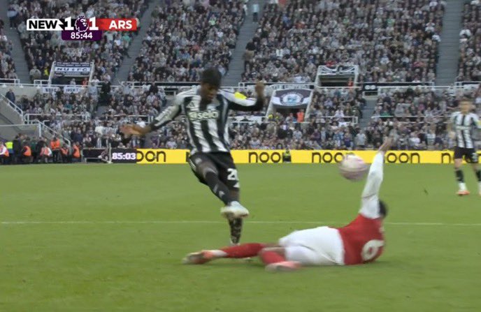 OddAIs 🐰 tweet media