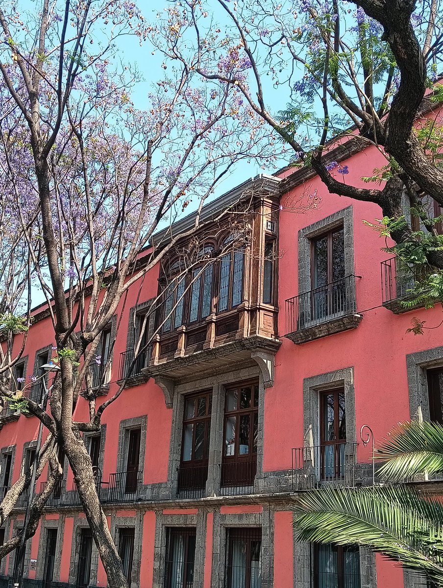 El Residente tweet media