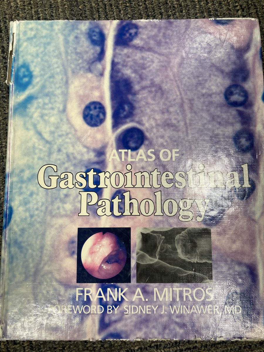 Andrew Bellizzi 🇺🇦 tweet media