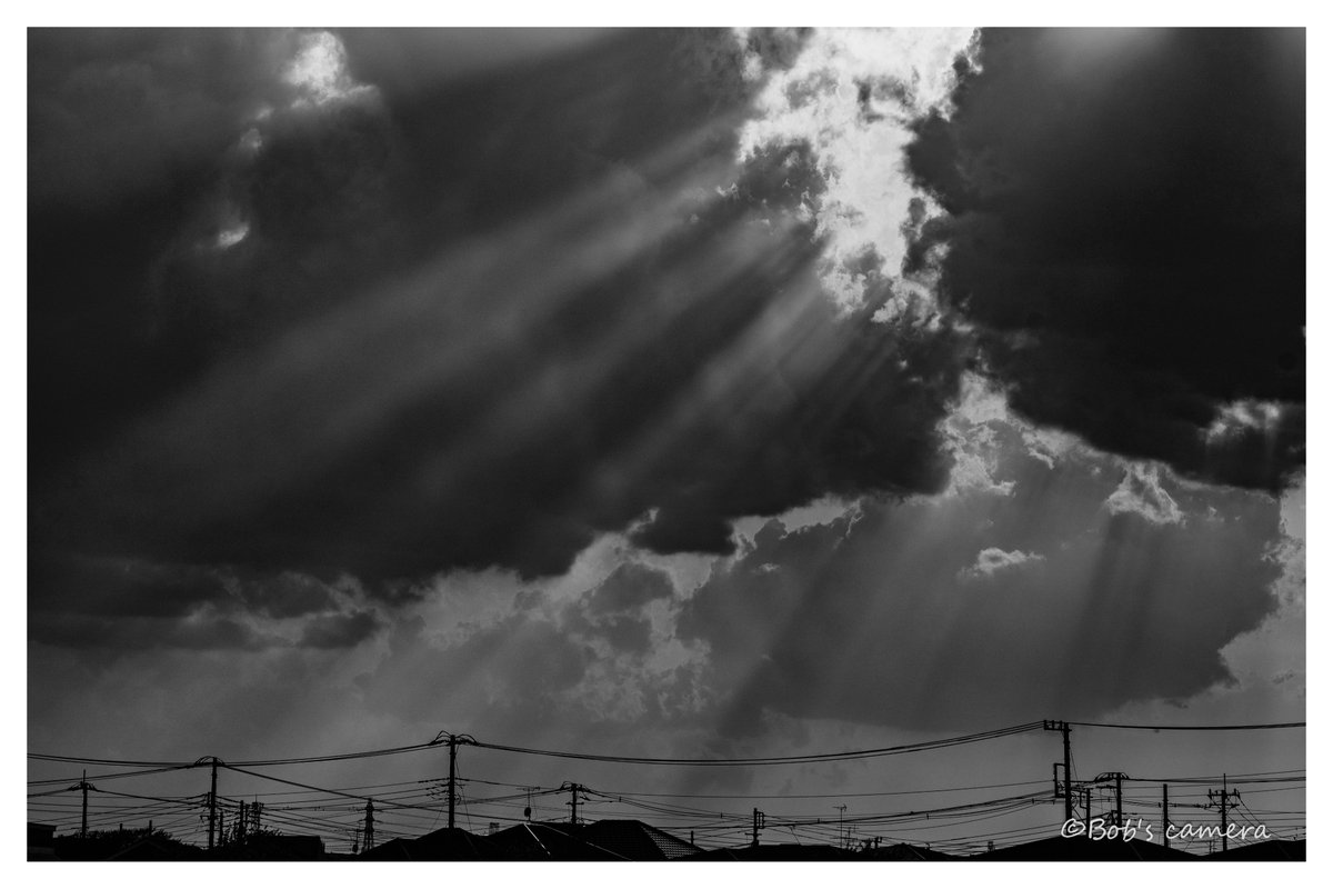 よボブ tweet media