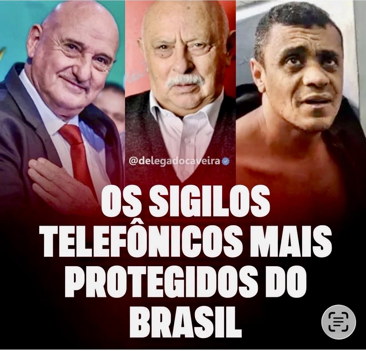 Georgina de Moraes Frucco tweet media