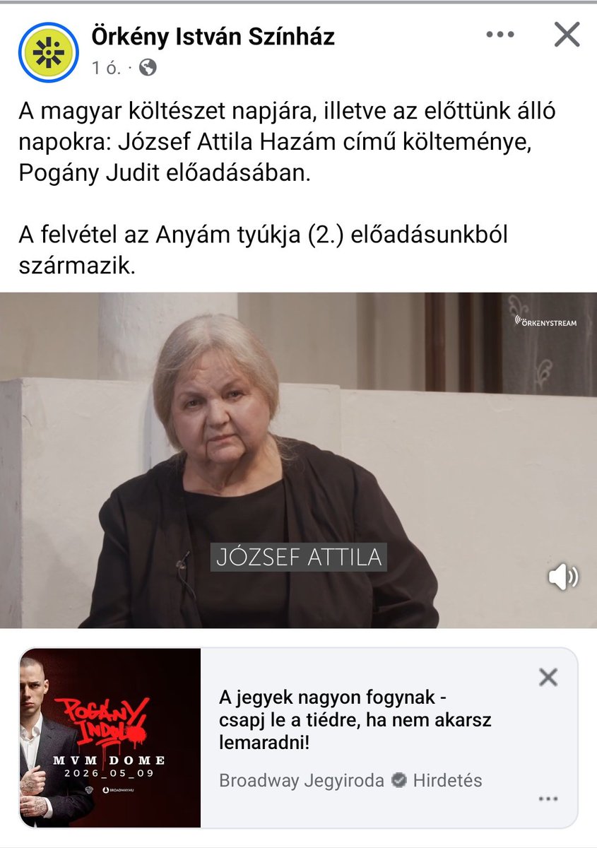 Bea 🌊 tweet media