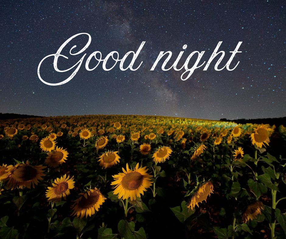 Magic_of_Travel's tweet image. Good night!

#sweetdreams #goodnight #peaceful