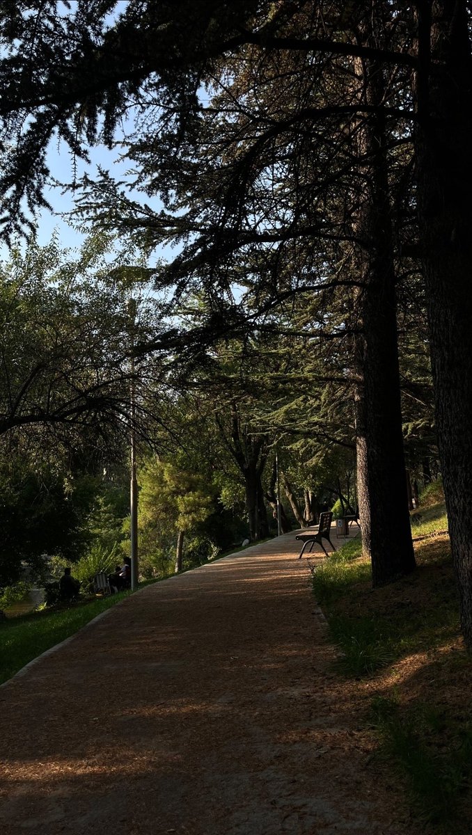 MindFulMan35's tweet photo. Kuğulu’da bir bank, Tunalı’da bir yürüyüş ya da Seğmenler’de batan güneş... Ankara, bakmayı bilen için en güzel şiirdir. https://t.co/bkXs0m99KN
