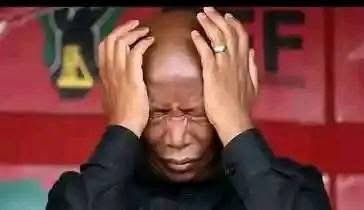 Randall Saul...🇿🇦 tweet media