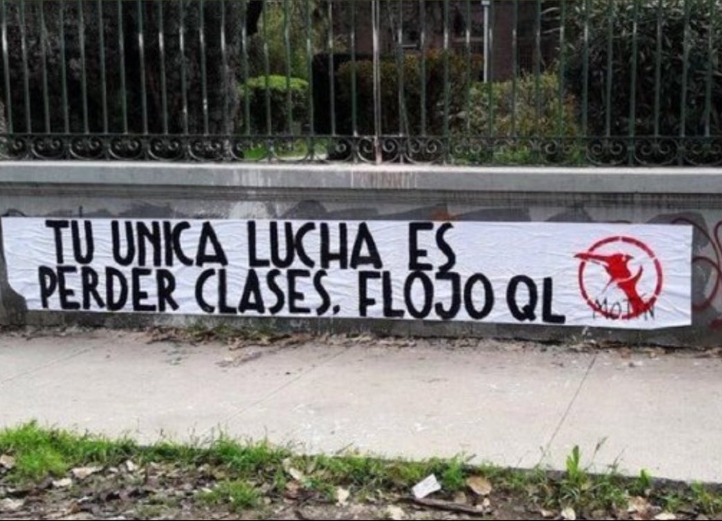 CataCorrea🇨🇱 tweet media