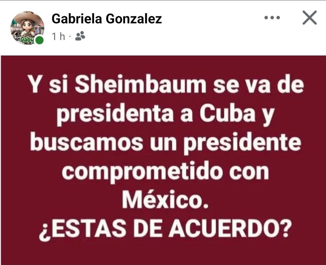 Eugenia Lara #MexicoNoEstaConlaDictadura tweet media