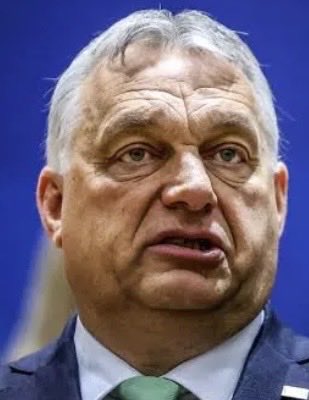 Common Sense 🇺🇸💙 tweet media