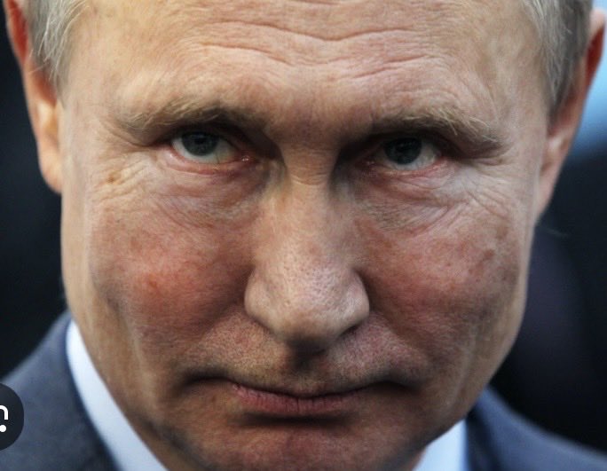 Common Sense 🇺🇸💙 tweet media