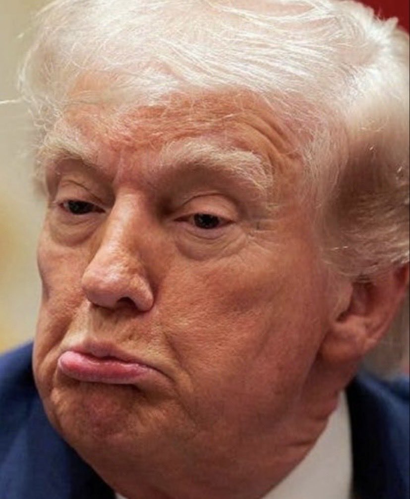 Common Sense 🇺🇸💙 tweet media