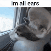 LeafBox🌱 tweet media