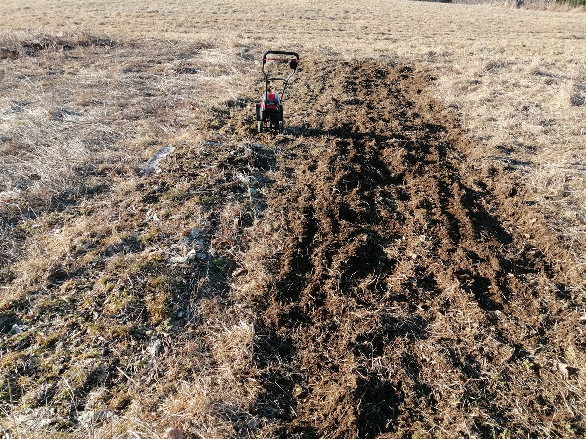 ylapihantila's tweet photo. Kevään puutarhatyöt aloitettu. 🚜💪😁
#einhell #käteväemäntä #puutarha https://t.co/rJ4Jb0O6Ve