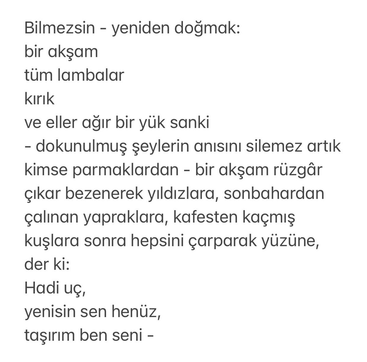 cioran tweet media