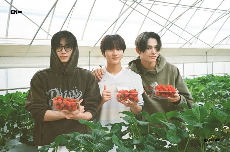 Viro - #ENHYPEN_IS_7 🧡 tweet media