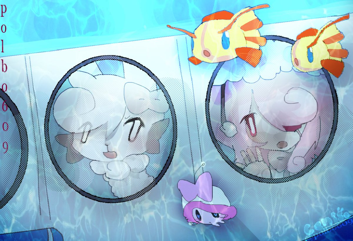 ‧₊˚ᨦ𐔌՞cenisa🍓 ՞𐦯ᨩ ⊹₊˚. tweet media