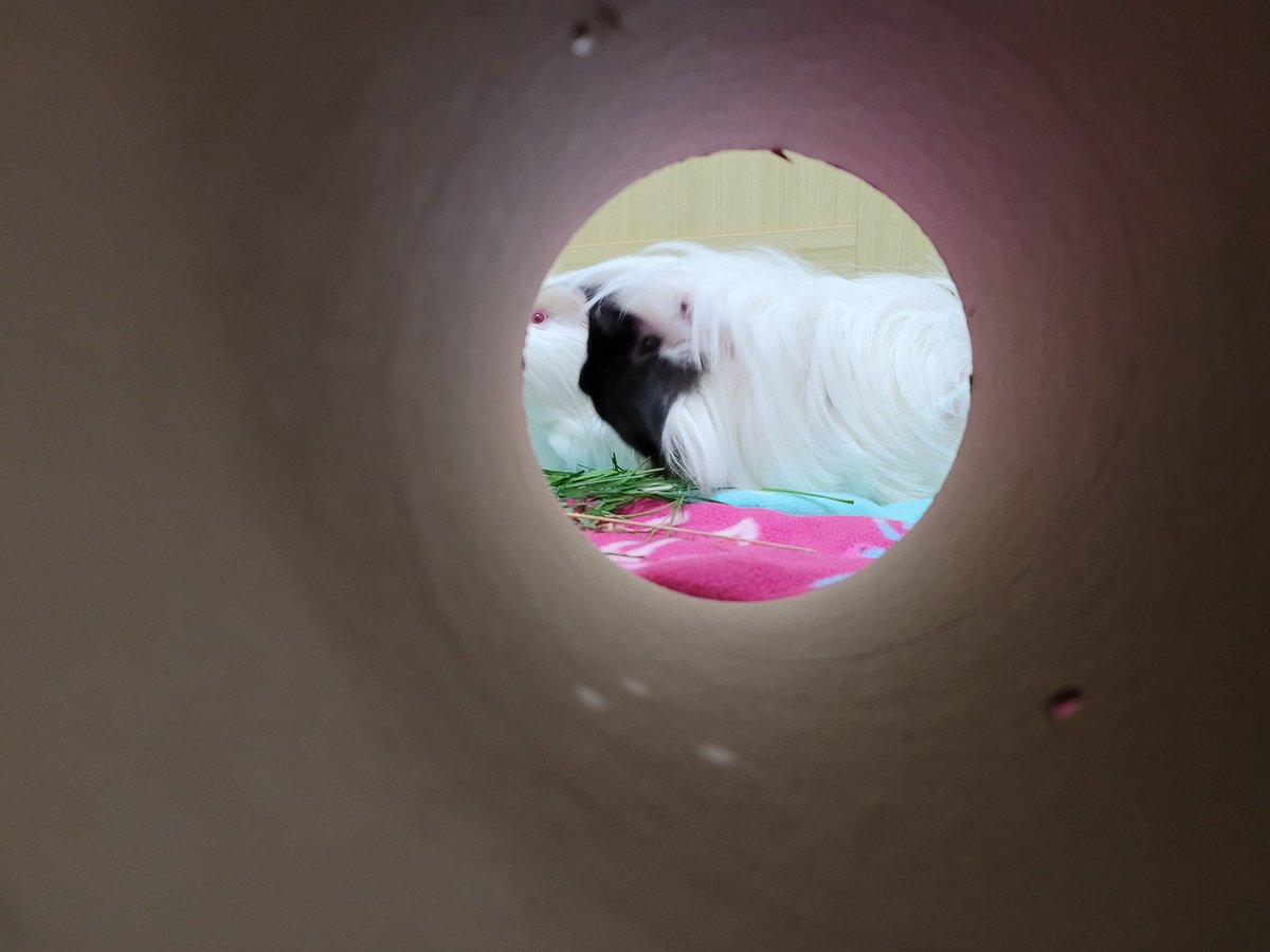 Barry Howells tweet media