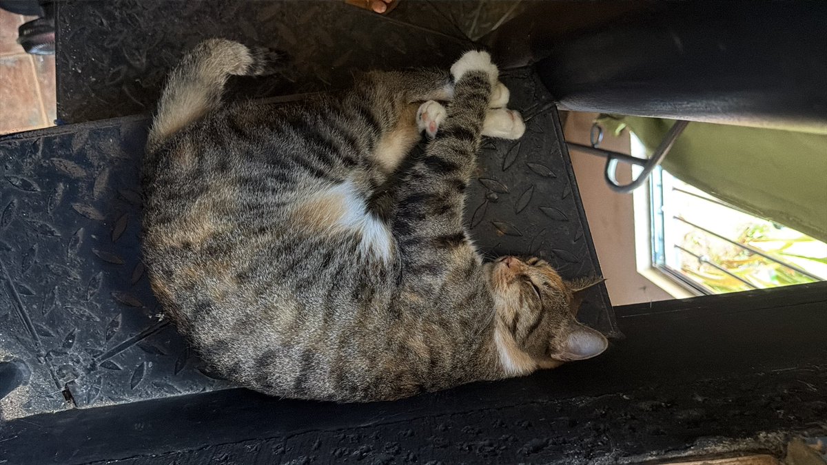 🍓ubizinha🍓 tweet media