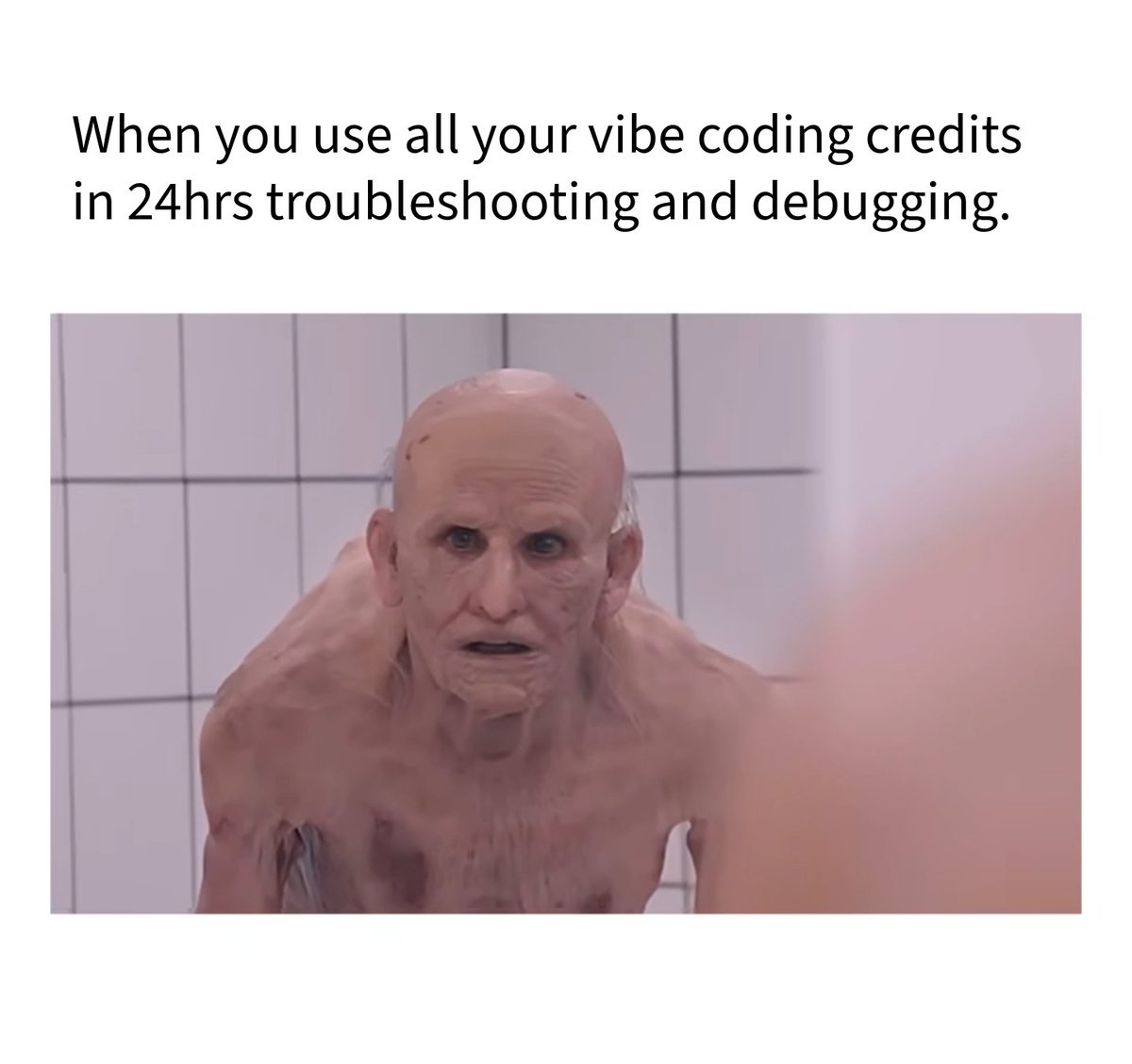 Creative Owls 🫟 tweet media