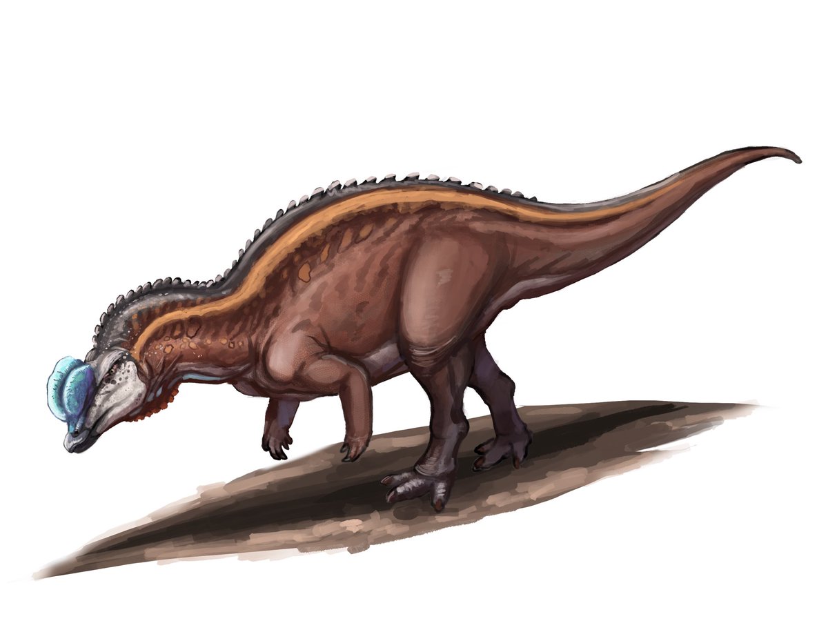 Draconos_Takeji tweet media