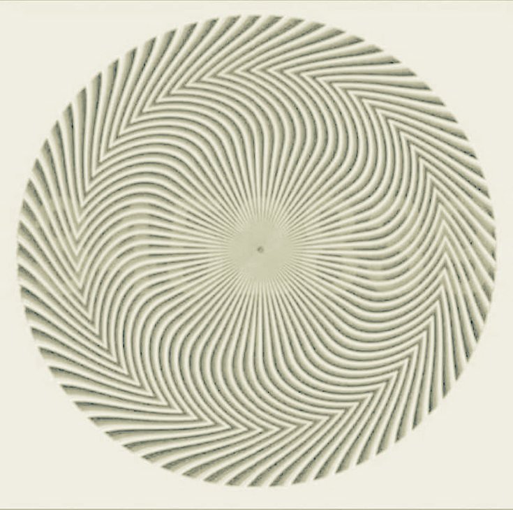 FAN ELON MUSK NEWS tweet media