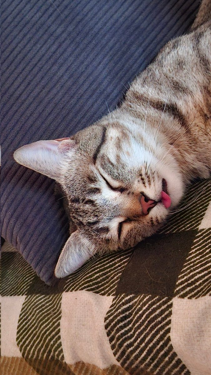 afcleric tweet media