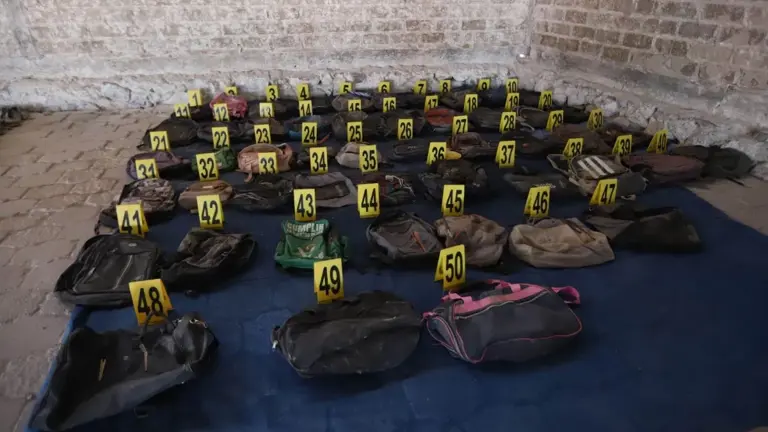 eder jourdan maya tweet media