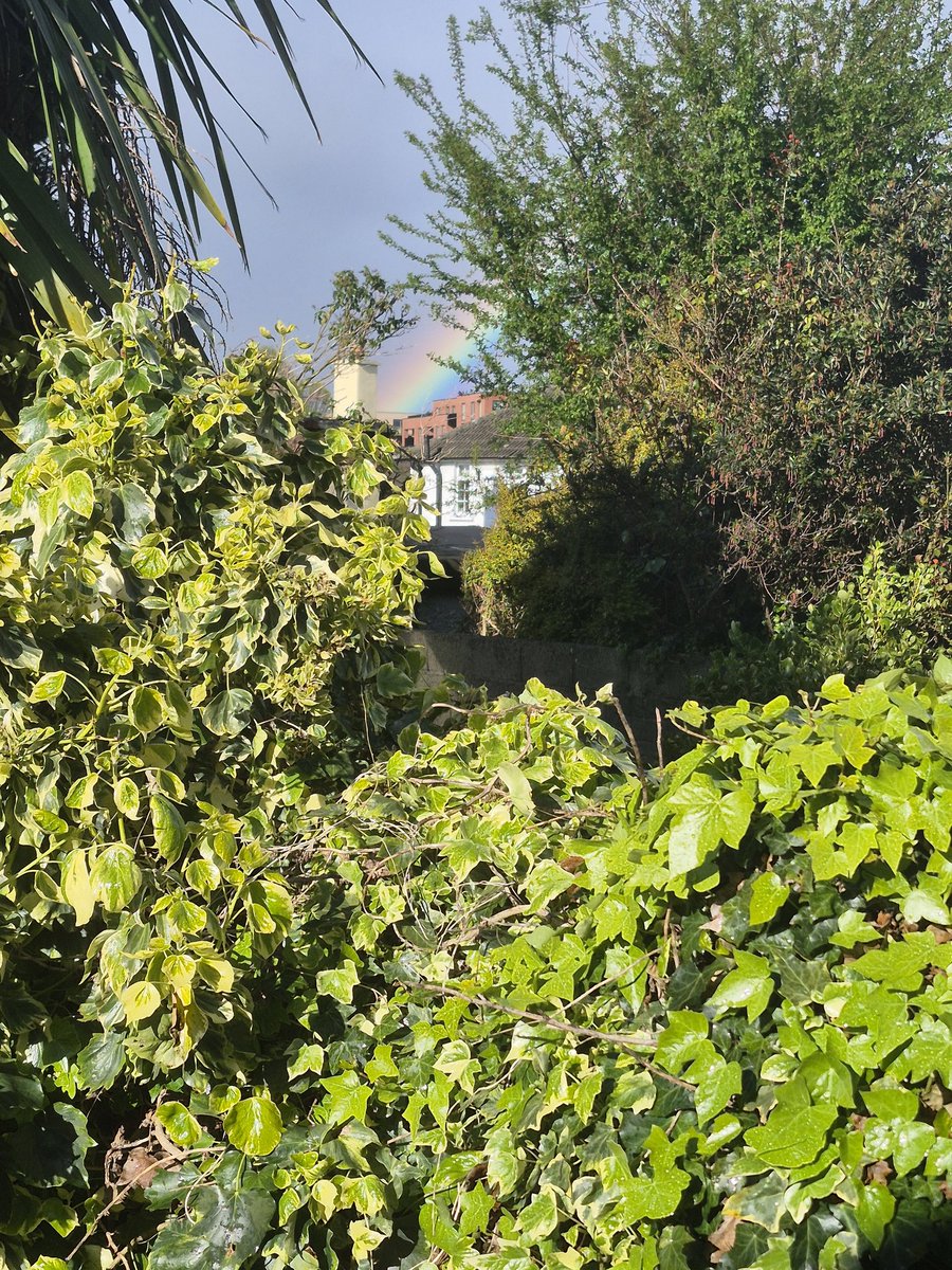 JoBW's tweet photo. @1goodtern Caught a tiny bit of a rainbow today. https://t.co/0mGNHAaiMe