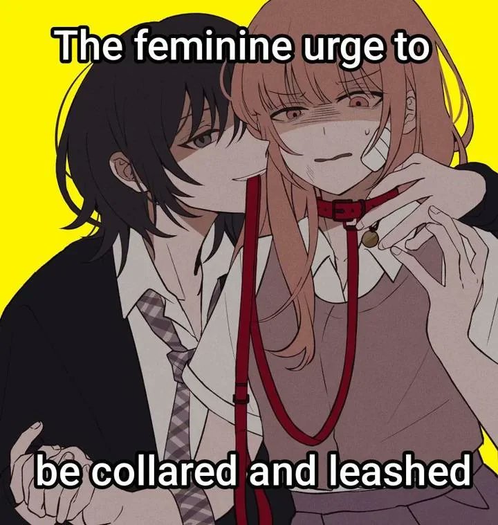 Gay Frog 🏳️‍⚧️ tweet media