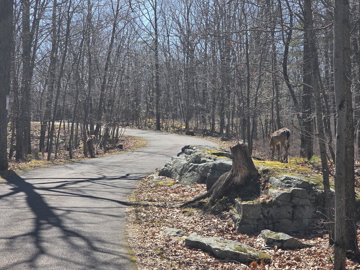 James Cloutier tweet media