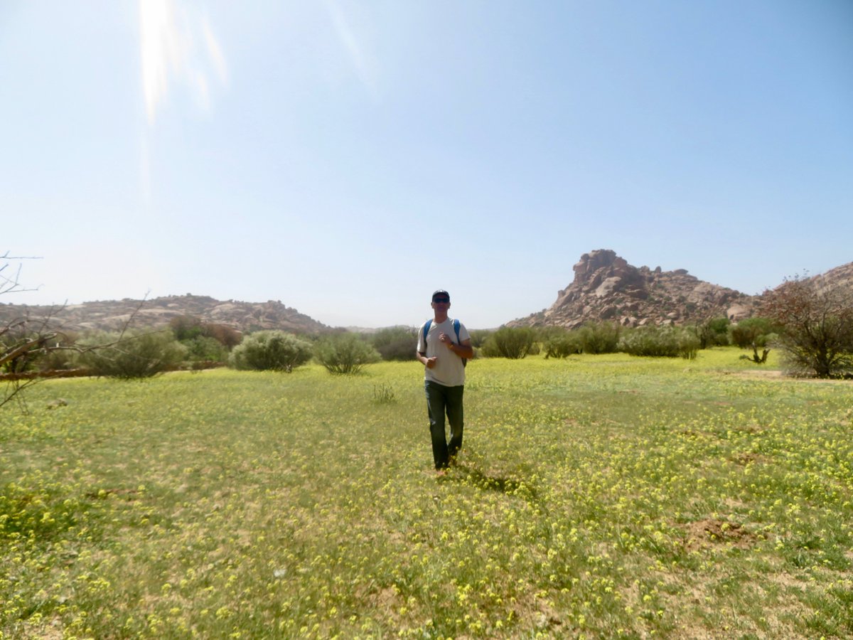 bakrim2000's tweet image. Looking back on recent wonderful trip to🌸🌼
 #atlasmountains  #walking #morocco