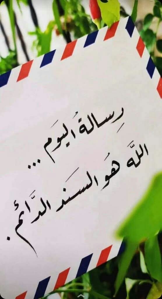 عبدالرحمن tweet media