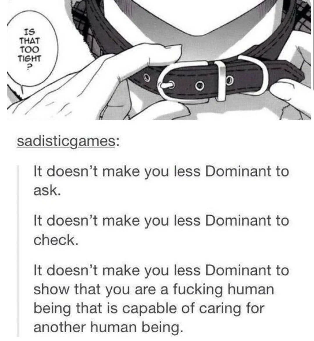 Gay Frog 🏳️‍⚧️ tweet media