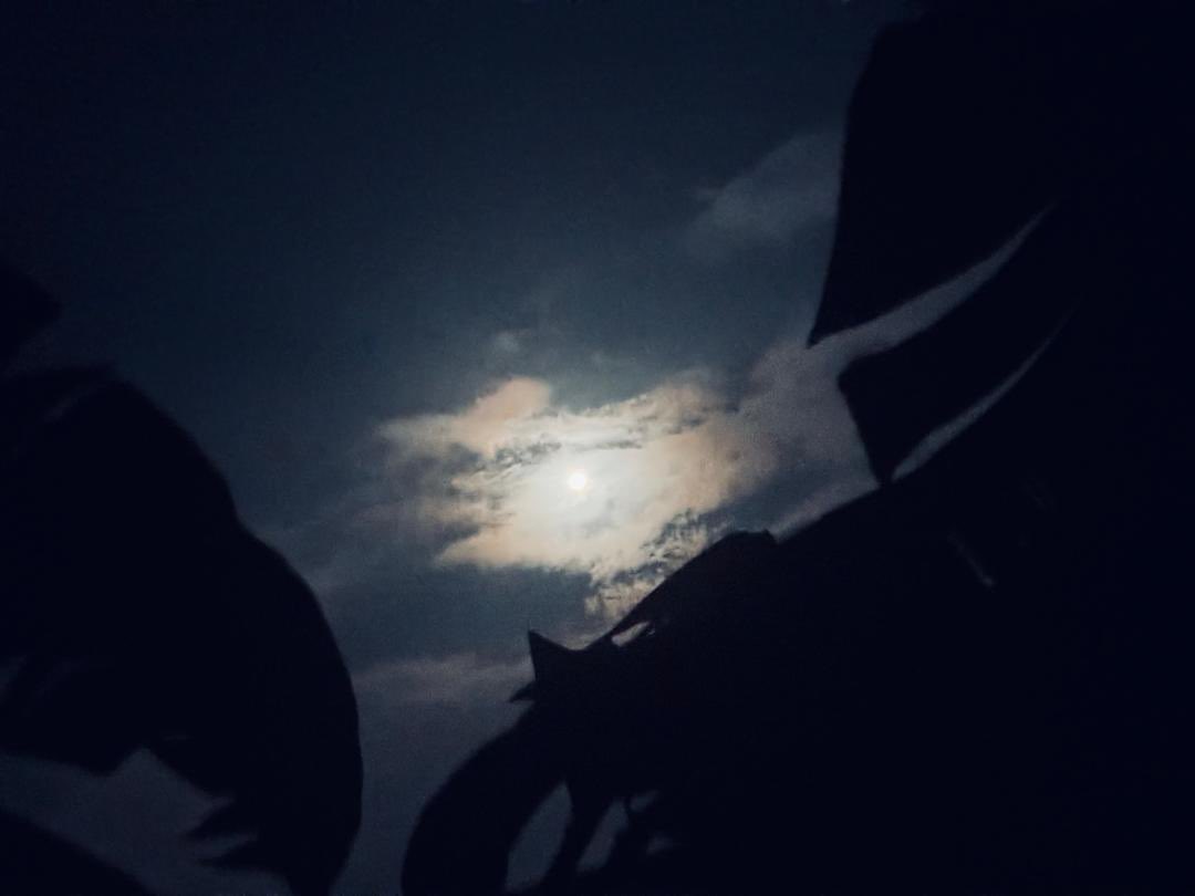 OlajumokeRaych's tweet photo. My moon view lately🥰🥰
#nasaartemis #nasa #moon https://t.co/d44Pd1pneH